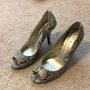 Kelly and Katie Scalloped Snakeskin Heels 8.5